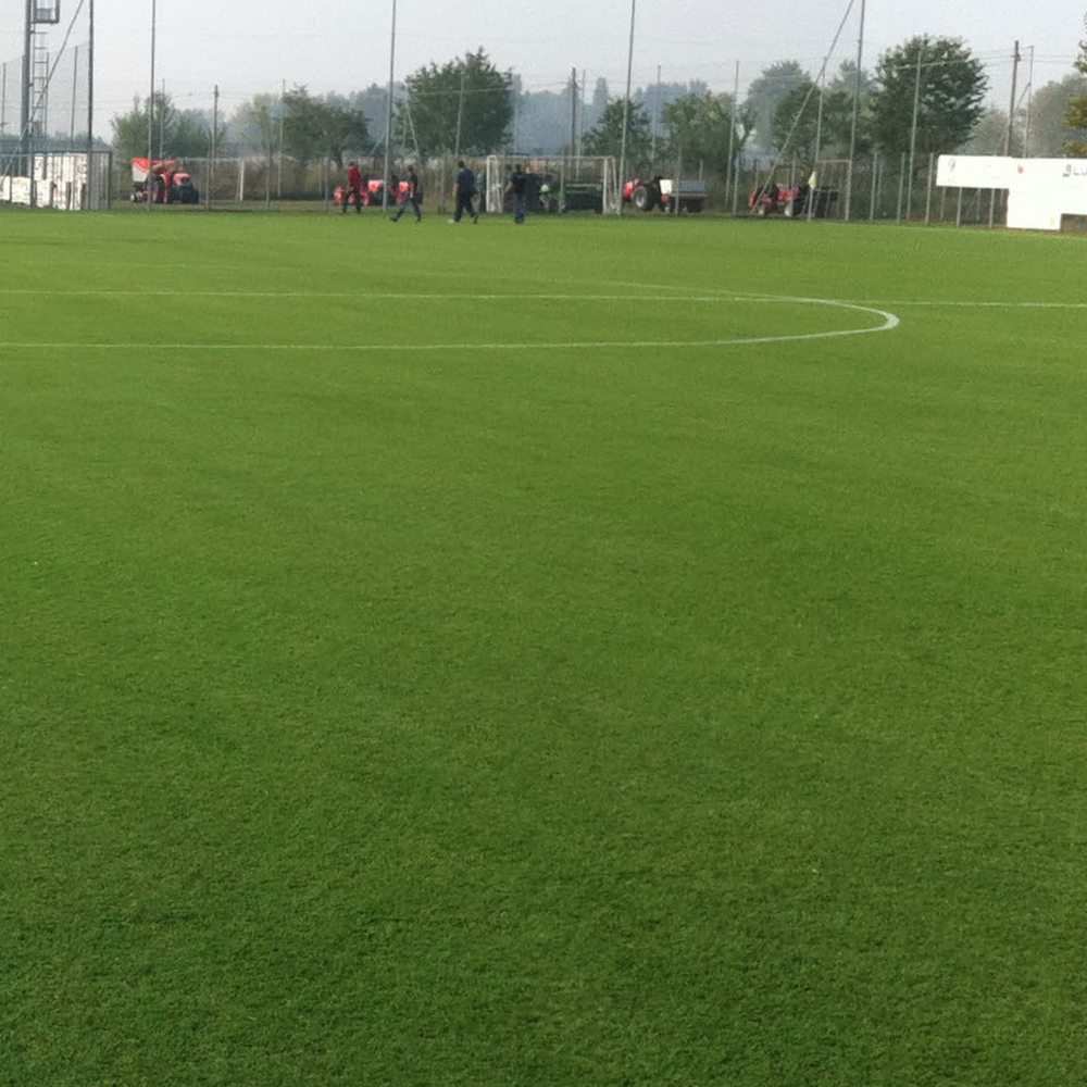 Rifacimento del manto erboso campo da calcio