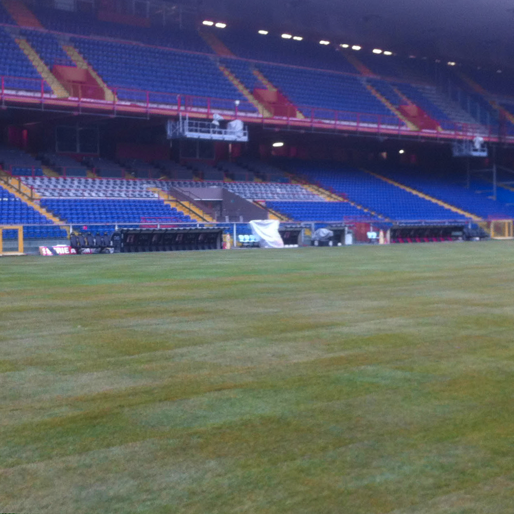 Rifacimento del manto erboso dello Stadio Marassi