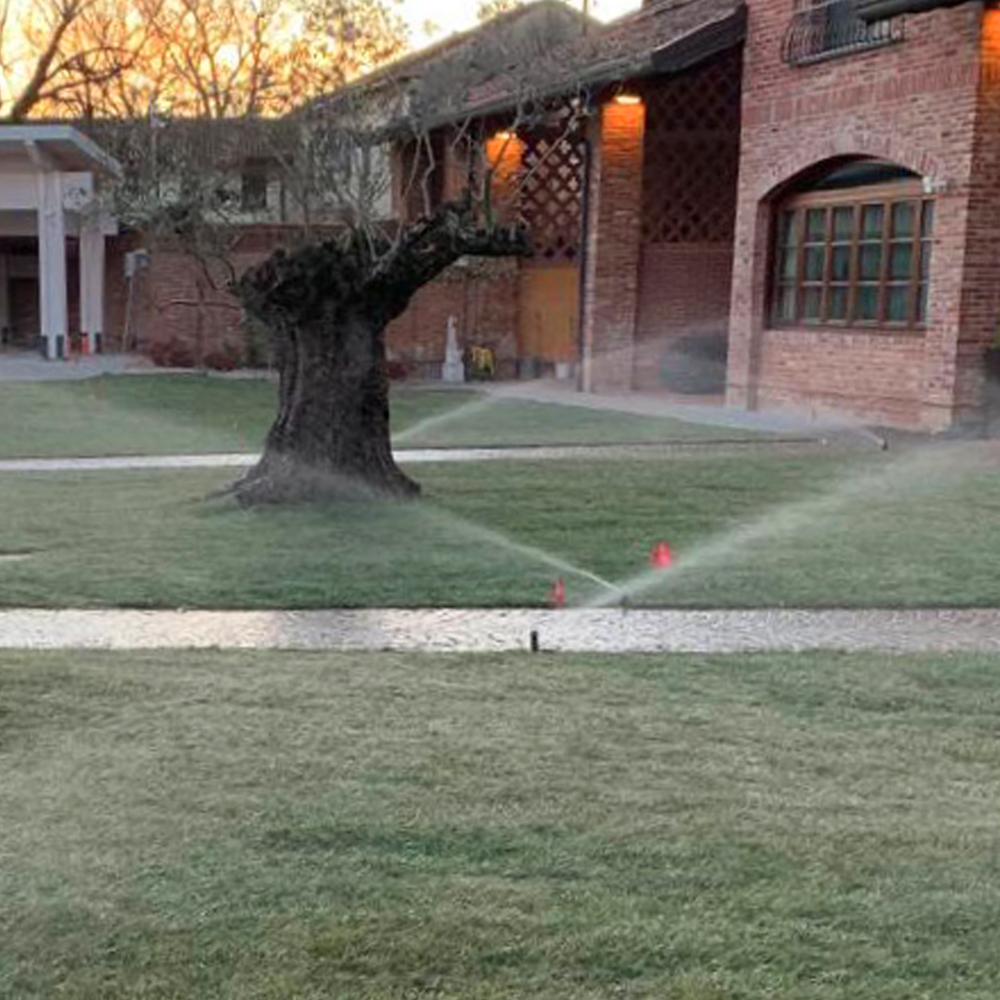 Rifacimento del manto erboso villa privata